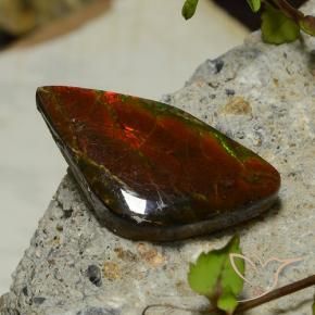 Ammolite Multicolore naturale da 17.03 ct, Taglio a fantasia, Opaco