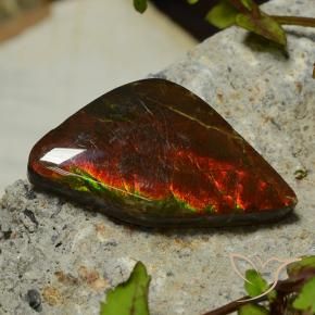 Ammolite Multicolore naturale da 17.03 ct, Taglio a fantasia, Opaco