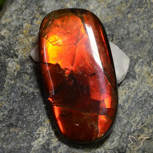 Ammolite naturale multicolore da 11,42 ct, forma fantasia, opaco