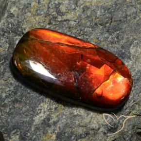 Ammolite naturale multicolore da 11,42 ct, forma fantasia, opaco