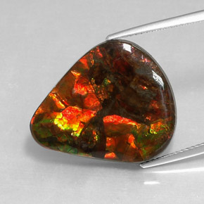 Ammolite naturale multicolore da 14,24 ct, forma fantasia, opaco