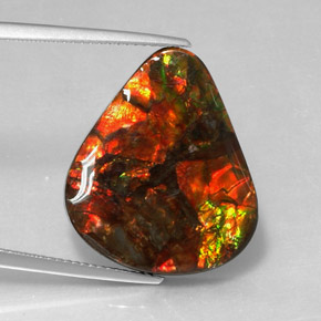 Ammolite naturale multicolore da 14,24 ct, forma fantasia, opaco