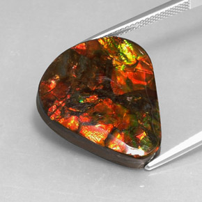 Ammolite naturale multicolore da 14,24 ct, forma fantasia, opaco