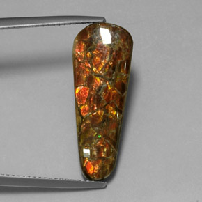 Ammolite Multicolore naturale da 7.59 ct, Forma fantasia, Opaco