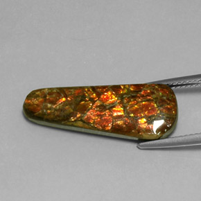 Ammolite Multicolore naturale da 7.59 ct, Forma fantasia, Opaco