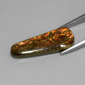 Ammolite Multicolore naturale da 7.59 ct, Forma fantasia, Opaco