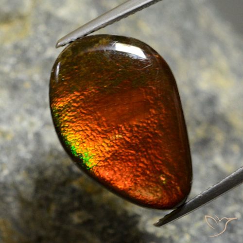 10.57ct Naturale Multicolore Ammolite, Taglio a fantasia, Opaco