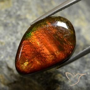 Ammolite Multicolore naturale da 10.57 ct, Taglio a fantasia, Opaco