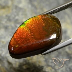 Ammolite Multicolore naturale da 10.57 ct, Taglio a fantasia, Opaco