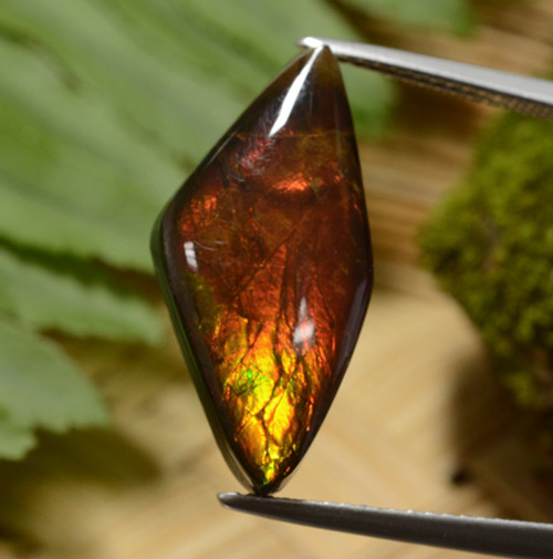Ammolite naturale multicolore da 8,14 ct, forma fantasia, opaco