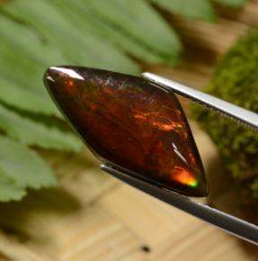 Ammolite naturale multicolore da 8,14 ct, forma fantasia, opaco