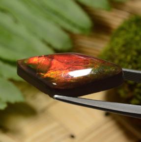 Ammolite naturale multicolore da 8,14 ct, forma fantasia, opaco