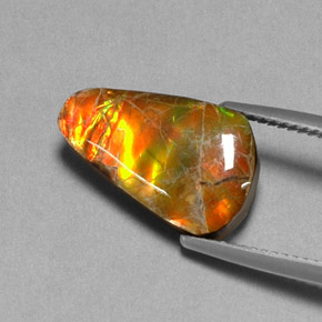 Ammolite Multicolore naturale da 5.20 ct, Forma fantasia, Opaco