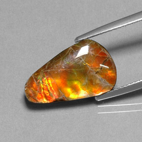 Ammolite Multicolore naturale da 5.20 ct, Forma fantasia, Opaco