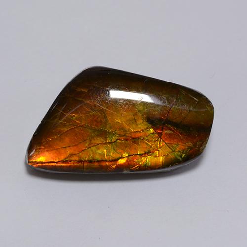 Ammolite naturale multicolore da 8,62 ct, forma fantasia, opaco