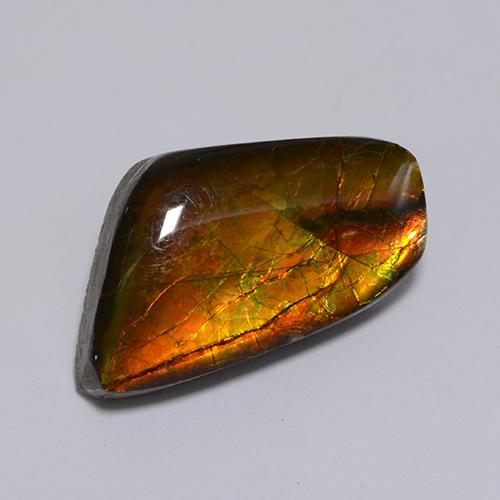 Ammolite naturale multicolore da 8,62 ct, forma fantasia, opaco