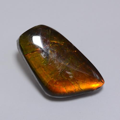 Ammolite naturale multicolore da 8,62 ct, forma fantasia, opaco