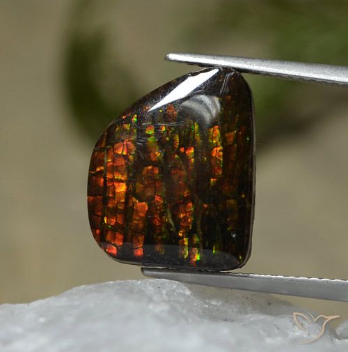 7.67ct Naturale Multicolore Ammolite, Taglio a fantasia, Opaco