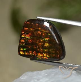 Ammolite Multicolore naturale da 7.67 ct, Taglio a fantasia, Opaco