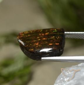 Ammolite Multicolore naturale da 7.67 ct, Taglio a fantasia, Opaco