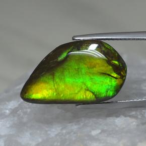 Ammolite naturale multicolore da 9,88 ct, forma fantasia, opaco