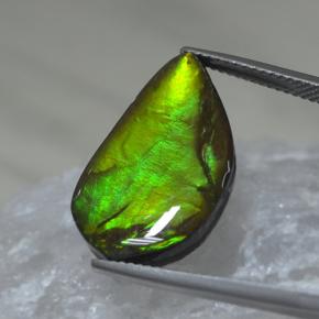 Ammolite naturale multicolore da 9,88 ct, forma fantasia, opaco