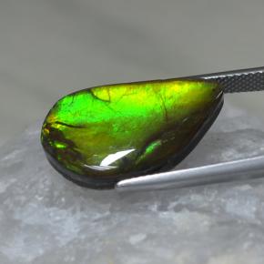 Ammolite naturale multicolore da 9,88 ct, forma fantasia, opaco