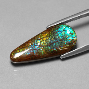 Ammolite Multicolore naturale da 8.53 ct, Forma a pera, Opaco