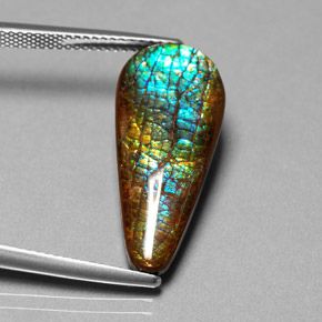 Ammolite Multicolore naturale da 8.53 ct, Forma a pera, Opaco