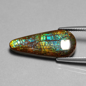 Ammolite Multicolore naturale da 8.53 ct, Forma a pera, Opaco