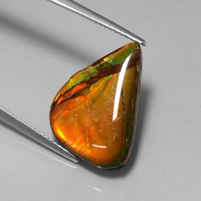 Ammolite naturale multicolore da 7,22 ct, forma fantasia, opaco
