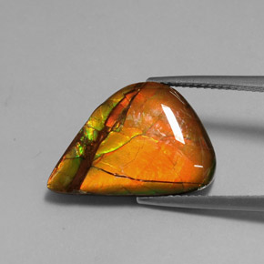 Ammolite naturale multicolore da 7,22 ct, forma fantasia, opaco