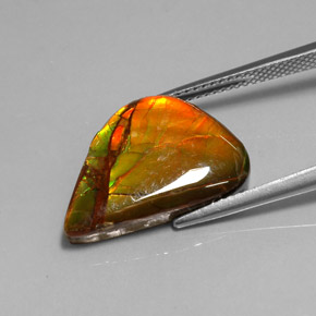Ammolite naturale multicolore da 7,22 ct, forma fantasia, opaco
