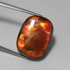 Ammolite naturale multicolore da 14,17 ct, forma fantasia, opaco