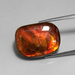 Ammolite naturale multicolore da 14,17 ct, forma fantasia, opaco