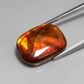 Ammolite naturale multicolore da 14,17 ct, forma fantasia, opaco