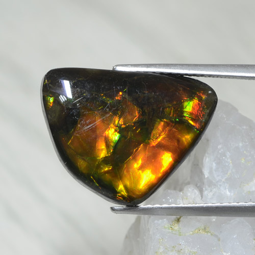 Ammolite Multicolore naturale da 8.61 ct, Forma fantasia, Opaco