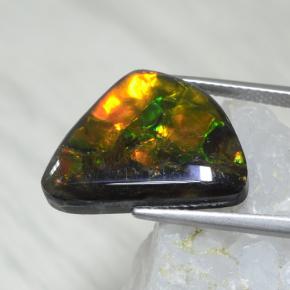 Ammolite Multicolore naturale da 8.61 ct, Forma fantasia, Opaco