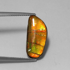 Ammolite naturale multicolore da 3,60 ct, forma fantasia, opaco