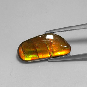 Ammolite naturale multicolore da 3,60 ct, forma fantasia, opaco