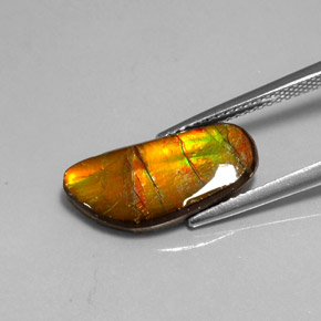 Ammolite naturale multicolore da 3,60 ct, forma fantasia, opaco