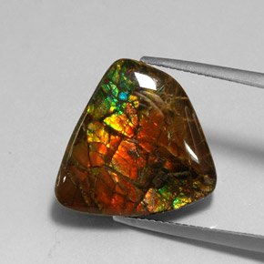 Ammolite Multicolore naturale da 11.39 ct, Forma fantasia, Opaco