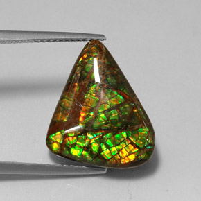 Ammolite Multicolore naturale da 7.79 ct, Forma fantasia, Opaco