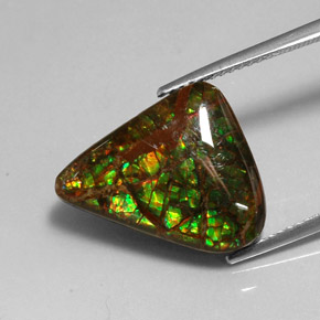 Ammolite Multicolore naturale da 7.79 ct, Forma fantasia, Opaco
