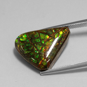 Ammolite Multicolore naturale da 7.79 ct, Forma fantasia, Opaco