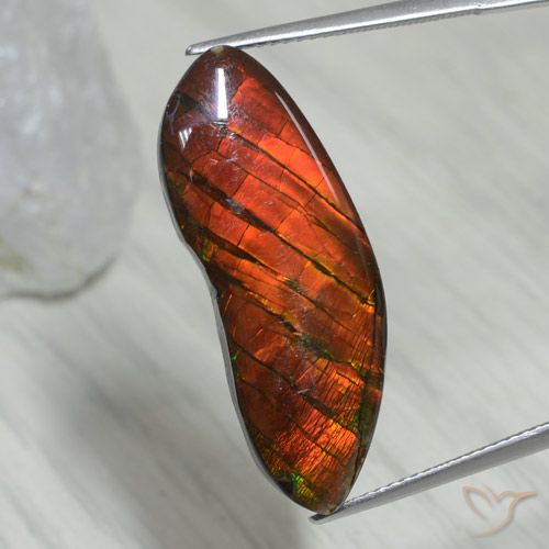 15.54ct Naturale Multicolore Ammolite, Taglio a fantasia, Opaco
