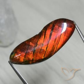 Ammolite Multicolore naturale da 15.54 ct, Taglio a fantasia, Opaco
