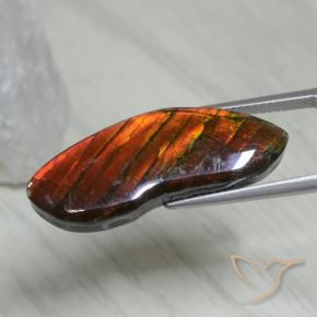Ammolite Multicolore naturale da 15.54 ct, Taglio a fantasia, Opaco
