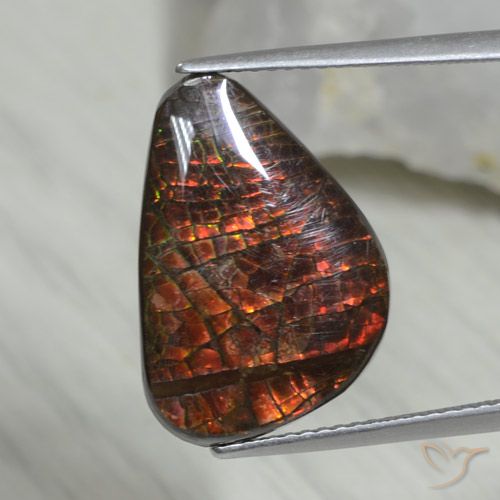 8.09ct Naturale Multicolore Ammolite, Taglio a fantasia, Opaco