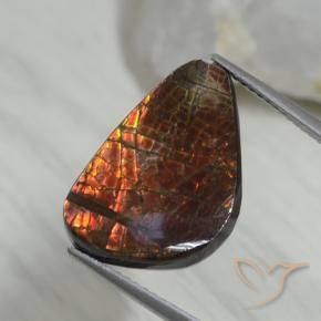 Ammolite Multicolore naturale da 8.09 ct, Taglio a fantasia, Opaco